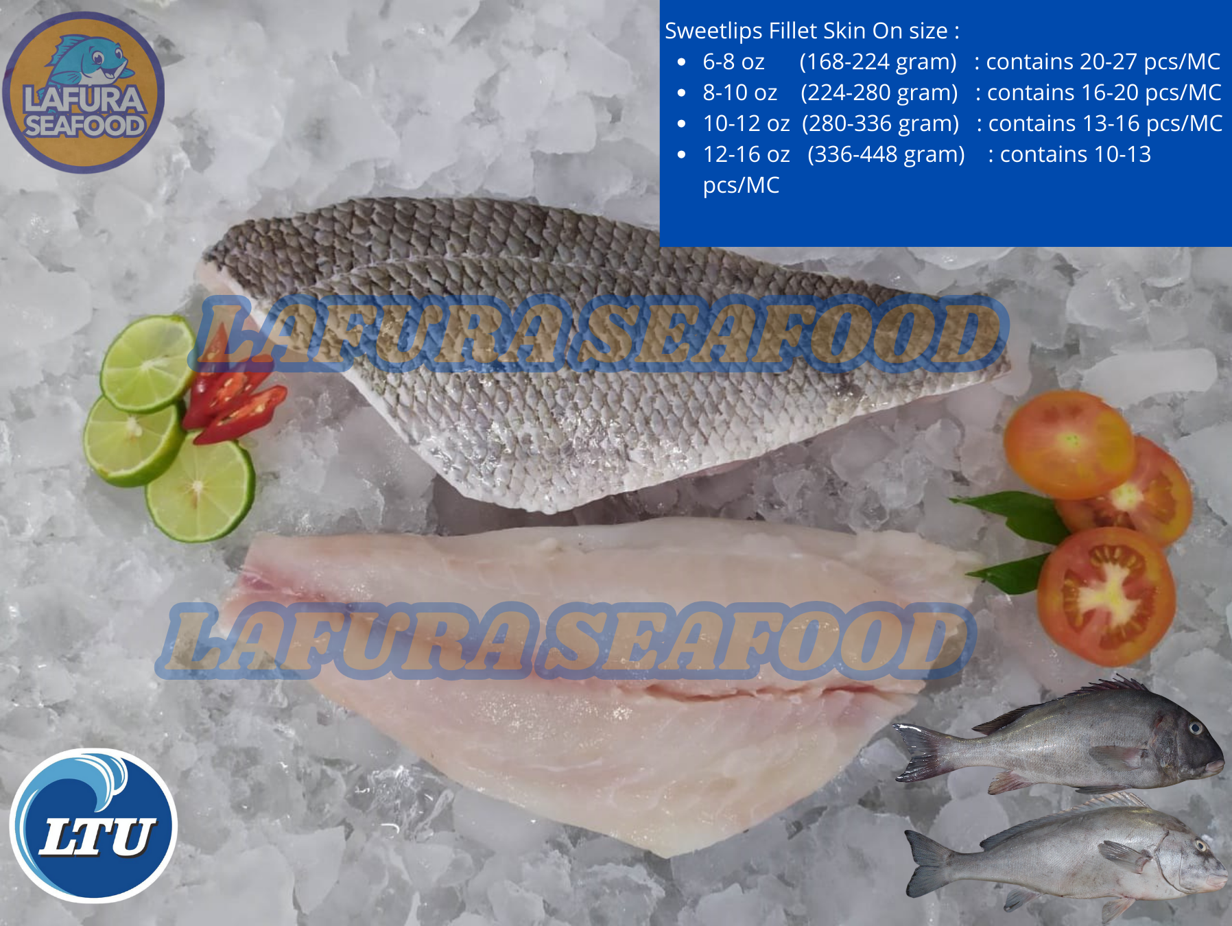 Sweetlips Fillet Skin On
